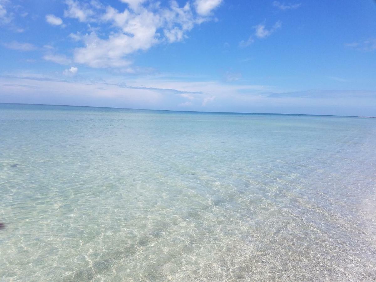 Amazing Panoramic Beach View And The Most Beautiful Sunset Longboat Key Buitenkant foto